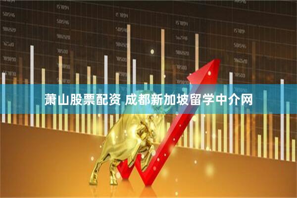萧山股票配资 成都新加坡留学中介网